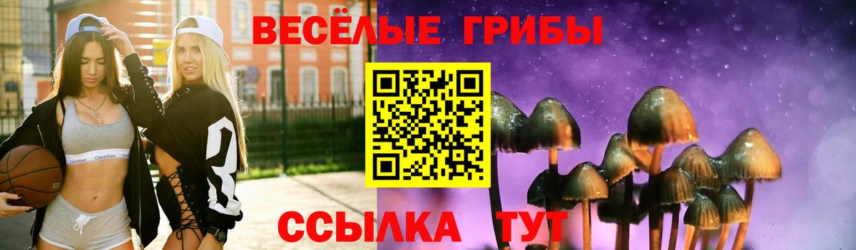 Галлюциногенные грибы прущие грибы Балашиха