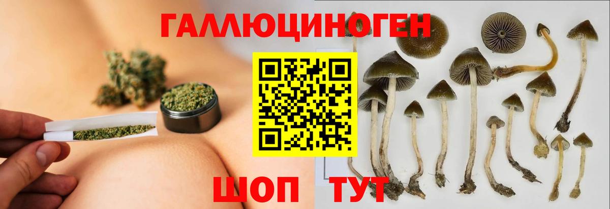 Галлюциногенные грибы мицелий  что такое наркотик  Балашиха  Вход с VPN 